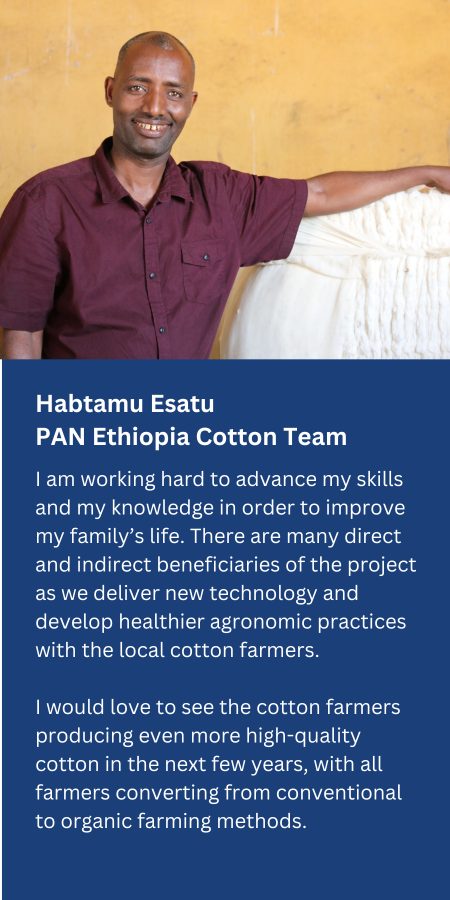 Habtamel Esatu - PAN Ethiopia Cotton Team