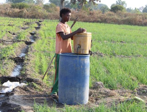 Almost half of the world’s farmers are poisoned by pesticides every year