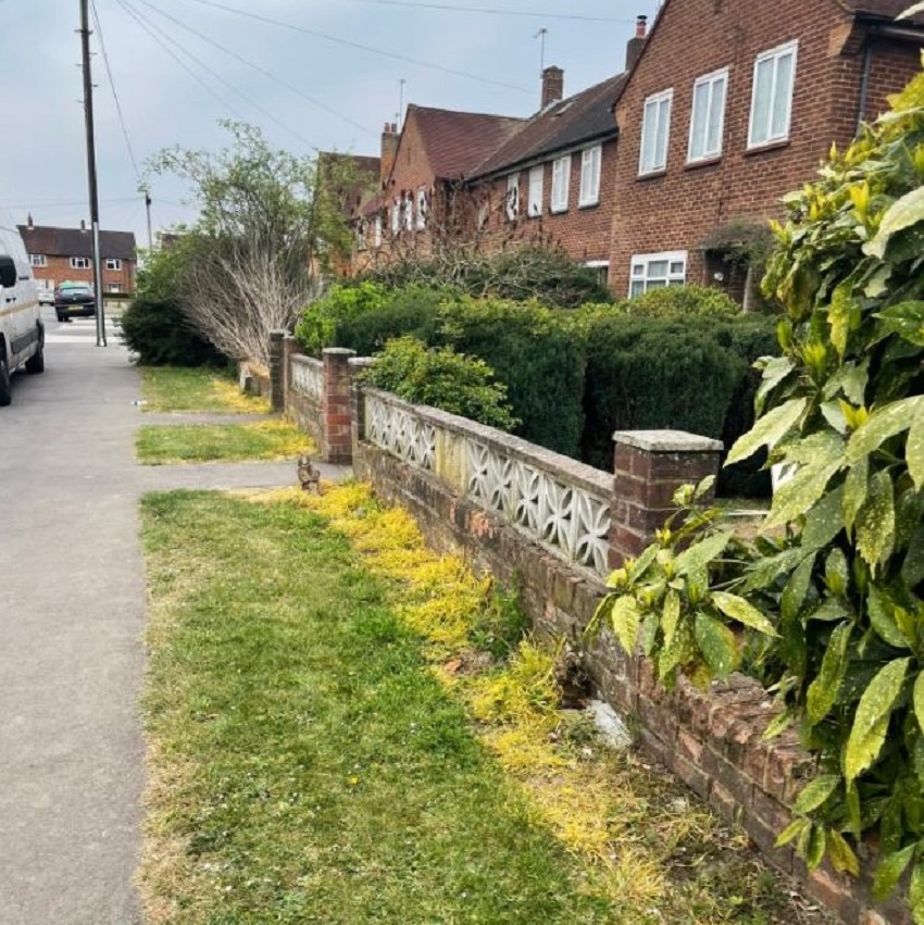 Example of spraying weedkiller along a path