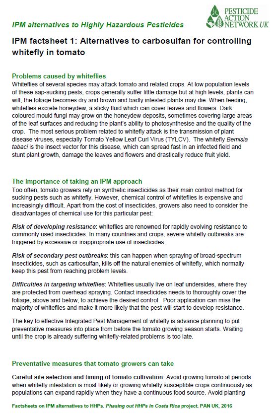 Alternatives for controlling whitefly in tomatoes