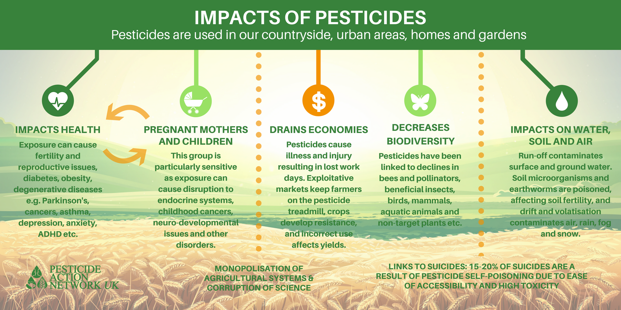 The many impacts of pesticides