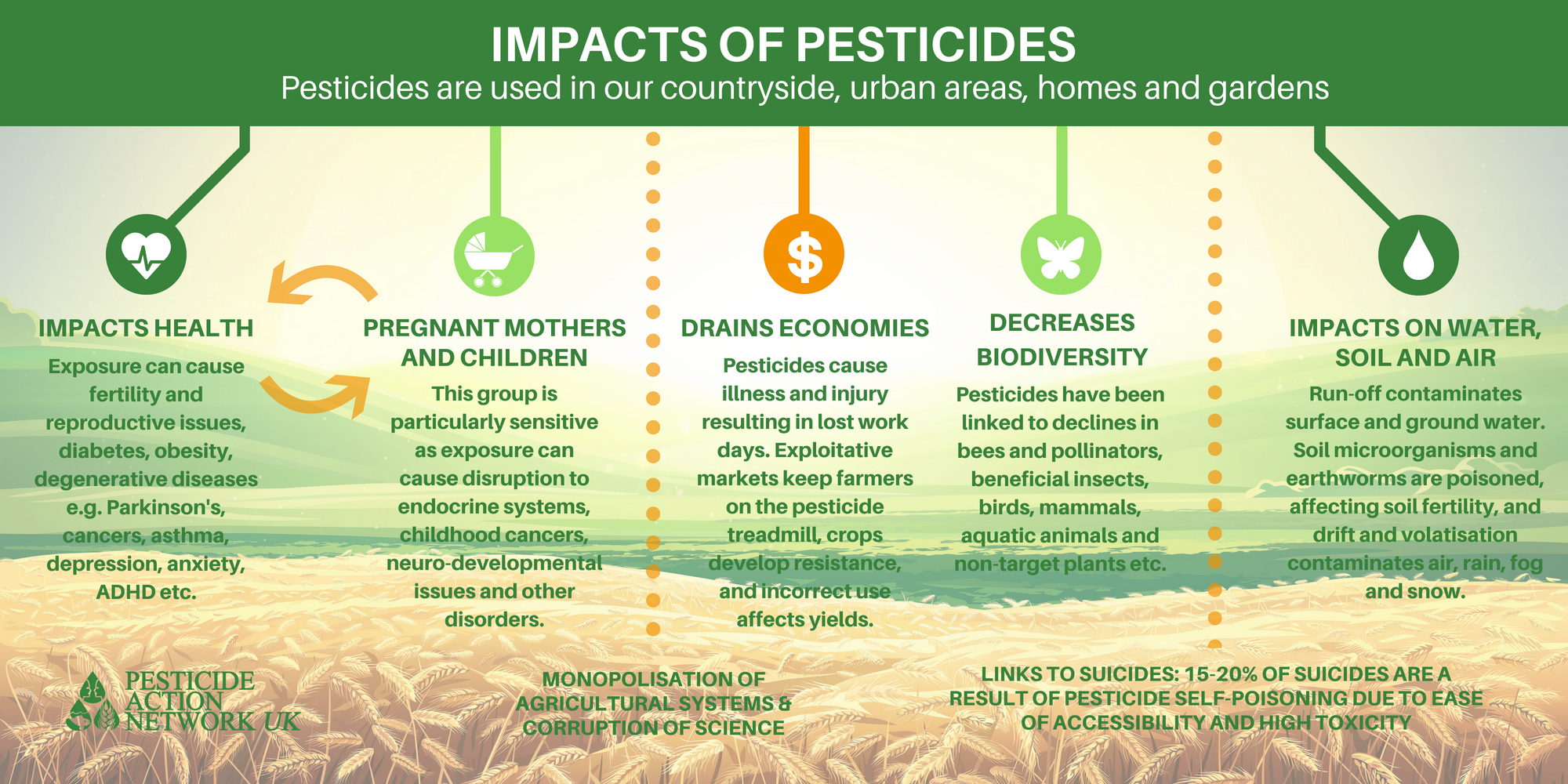 Pesticides The Environment And Its Effects On Pesticides The Environment And Its Effects On