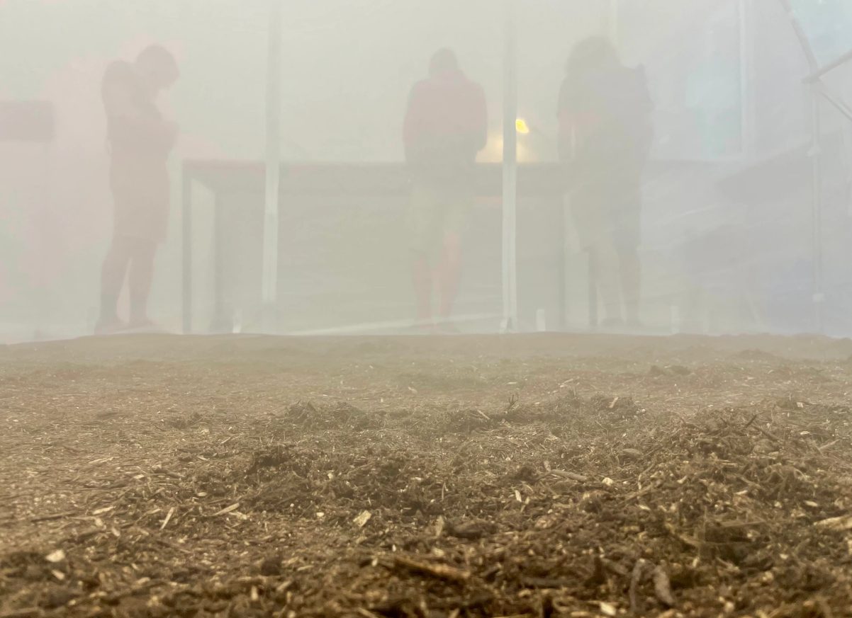 Close-up from Exposición, immersive installation, University of Bern, Lucy Sabin 2022.