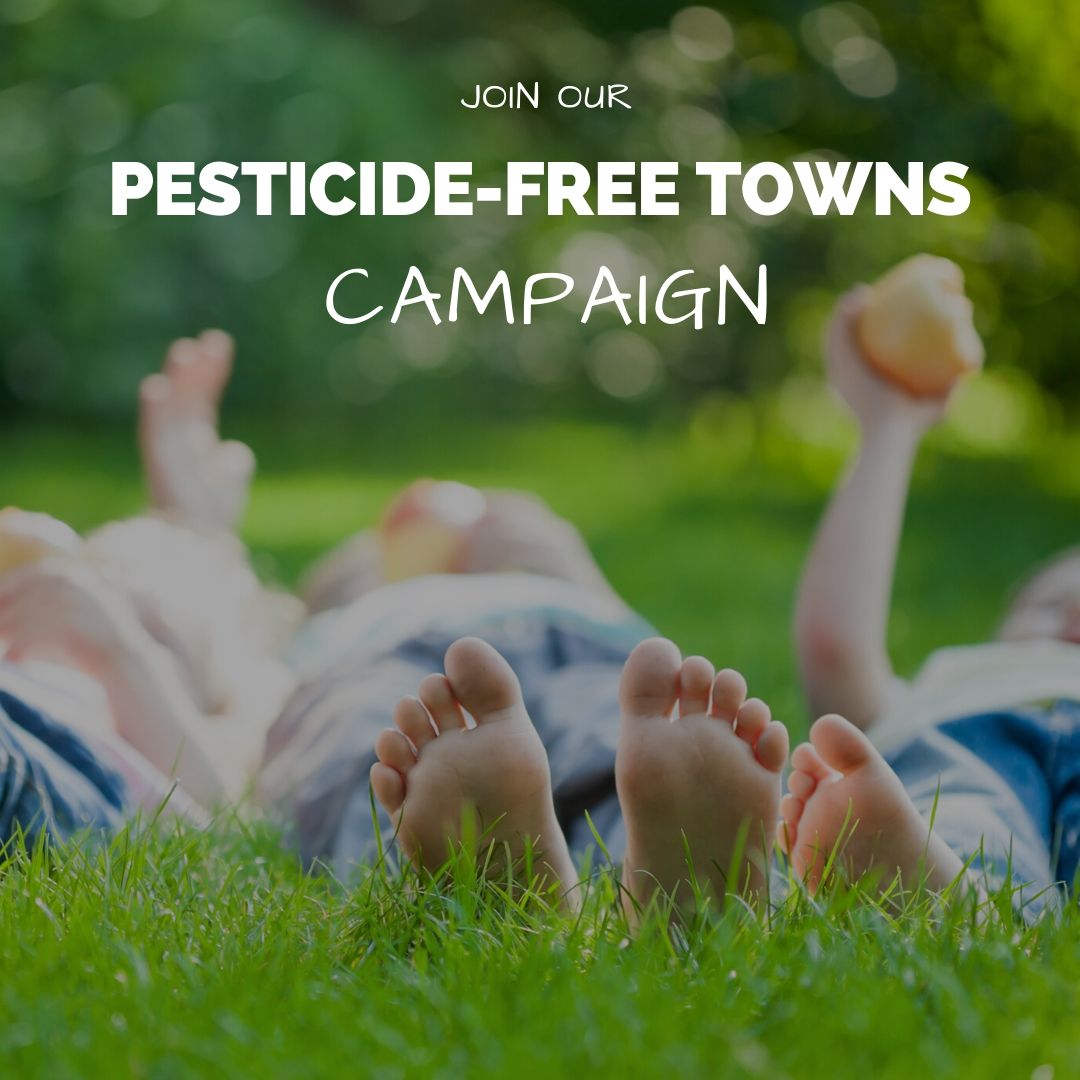 Join our pesticide-free towns campaign