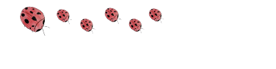Ladybird pathway A ladybird path