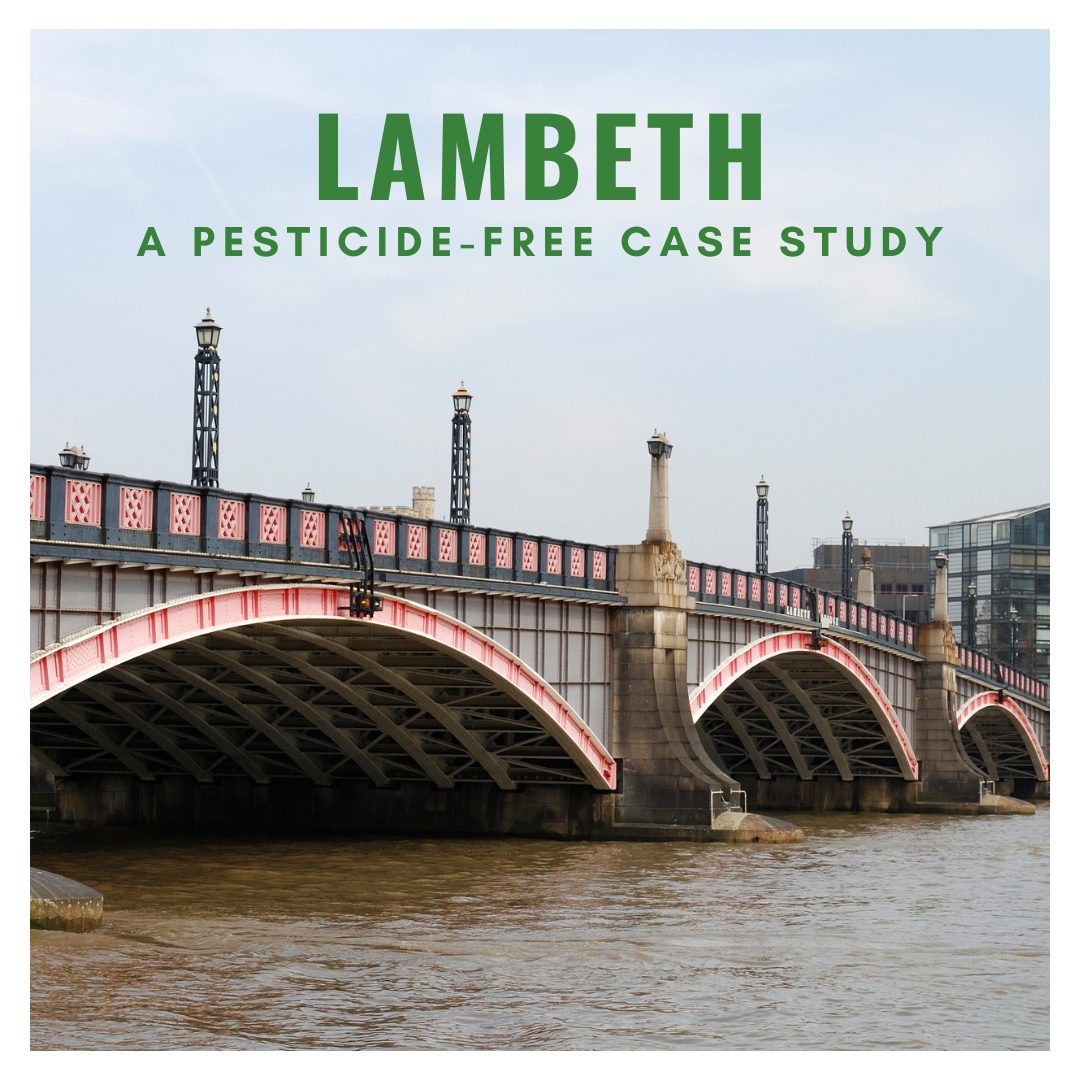 Lambeth: A pesticide-free case study