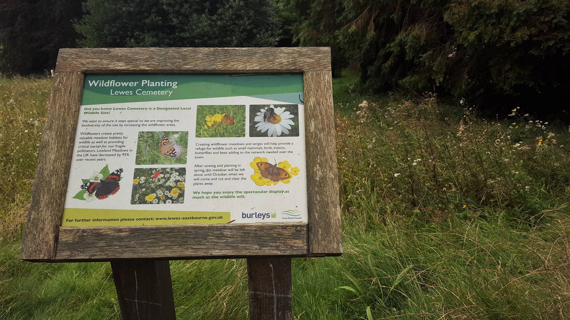 Lewes Cemetery Info Board