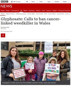 BBC News - Glyphosate - calls to ban cancer-linked weedkiller in Wales