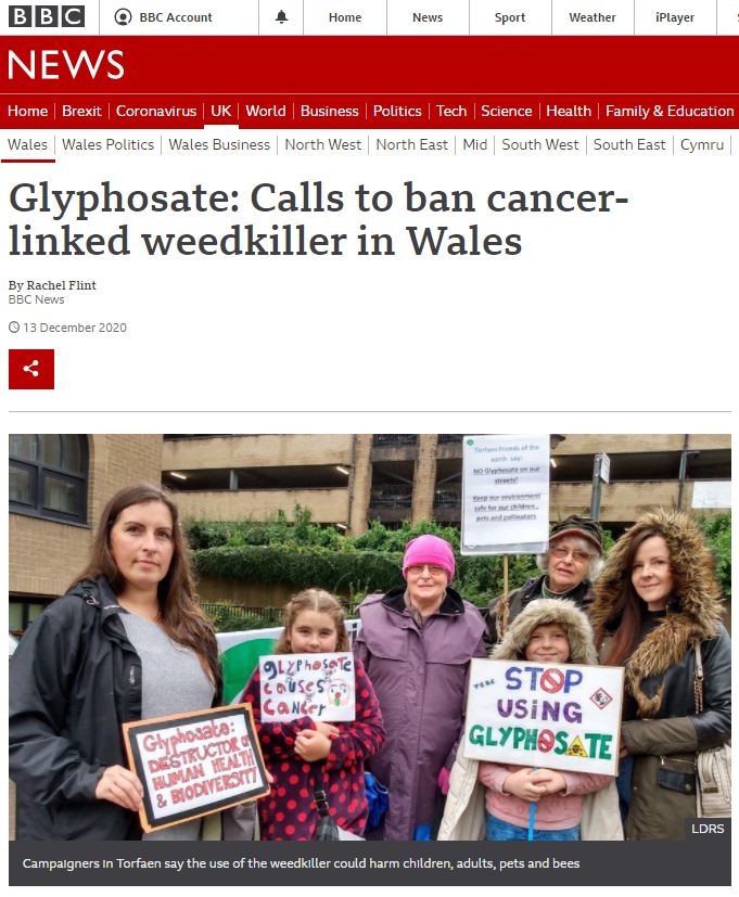 BBC News - Glyphosate - calls to ban cancer-linked weedkiller in Wales