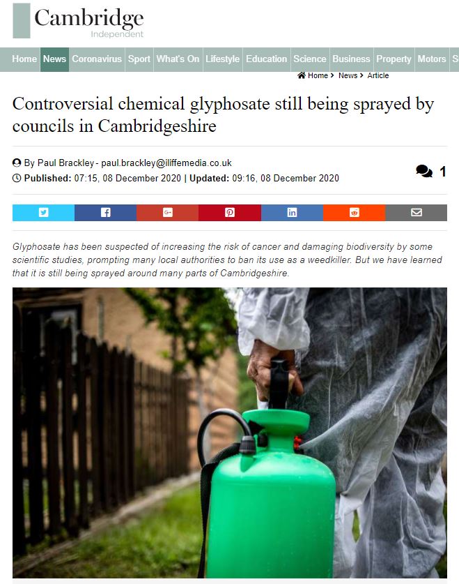 Cambridge Independent - Controversial chemical glyphosate still being sprayed by councils in Cambridgeshire