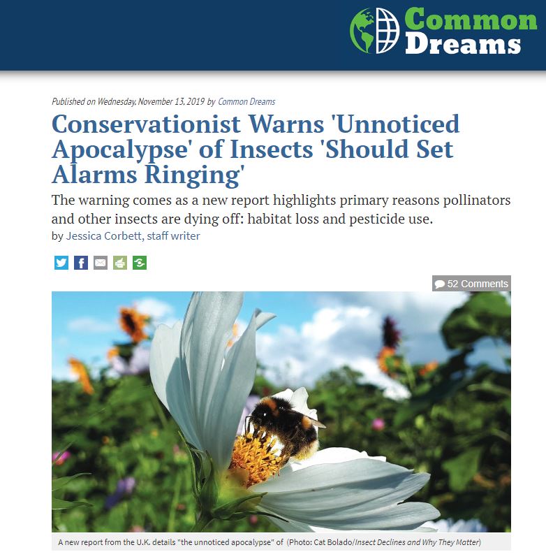 Common Dreams - Conservationists warn unnoticed apocalypse of insects