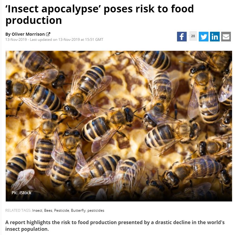 Food Navigator - Insect apocalypse poses risk to food production