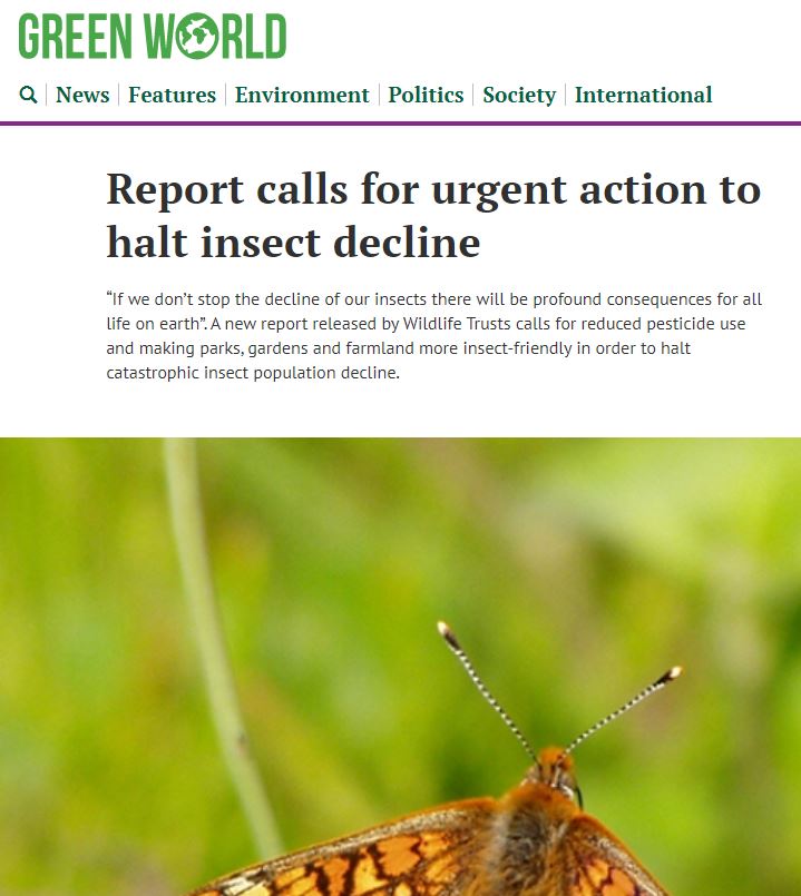 Green World - Report calls for urgent action to halt insect decline