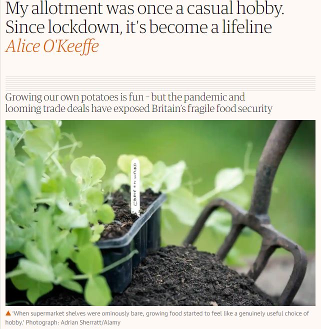 The Guardian: My allotment was once a casual hobby. Since lockdown, it's become a lifeline