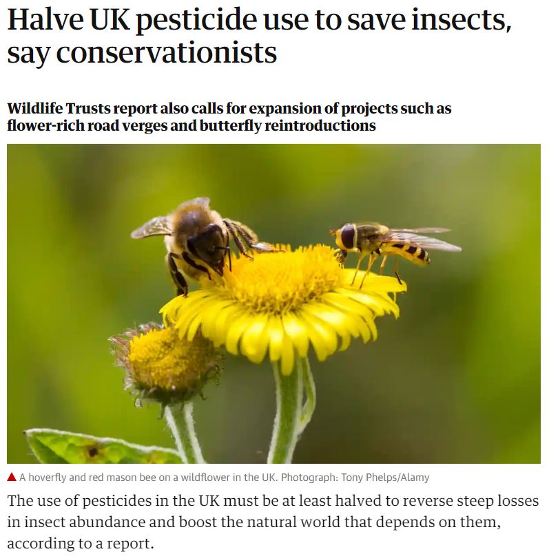 Guardian - Halve UK pesticide use to save insects