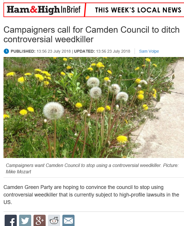 Ham & High - Campaigners call for Camden Council to ditch controversial weedkiller