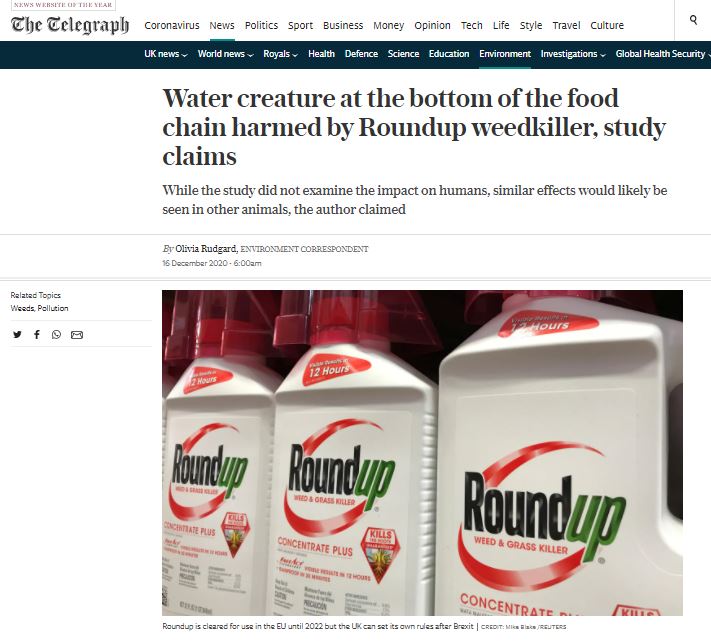 Telegraph - Water creature at the bottom of the food chain harmed by Roundup