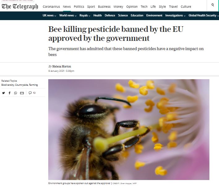 The Telegraph: Bee killing pesticide banned by the EU approved by the government 