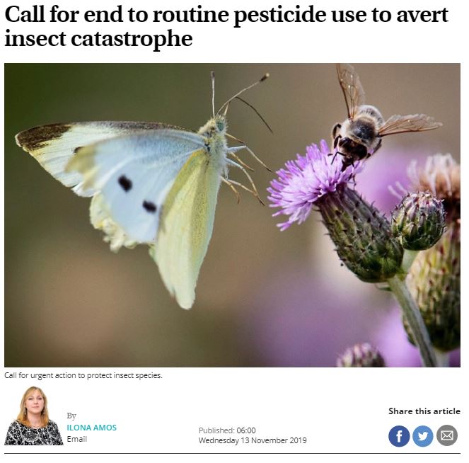 The Scotsman - Call for end to routine pesticide use to avert insect catastrophe