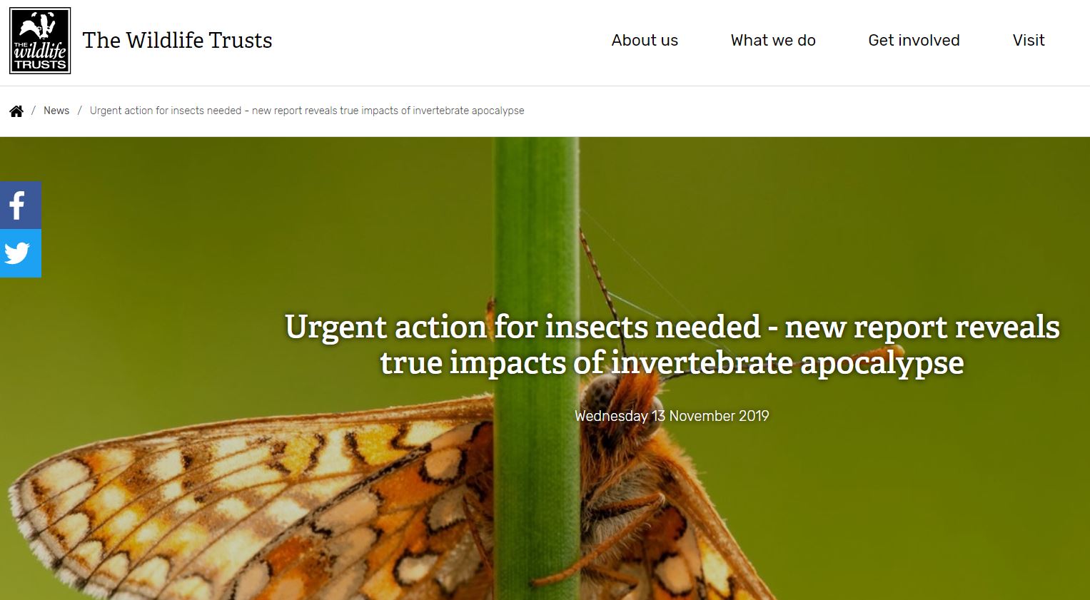 The Wildlife Trusts - Urgent action for insects needed - new report reveals