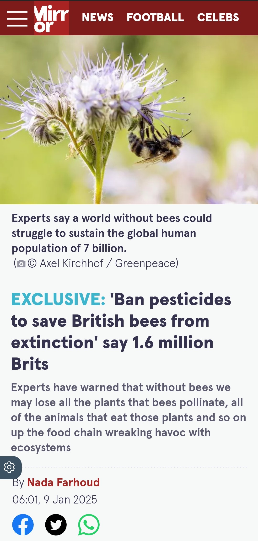 Toxic pesticides found in food imports spark health concerns among campaigners