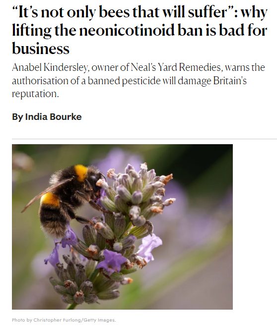The New Statesman: “It’s not only bees that will suffer” - why lifting the neonicotinoid ban is bad for business