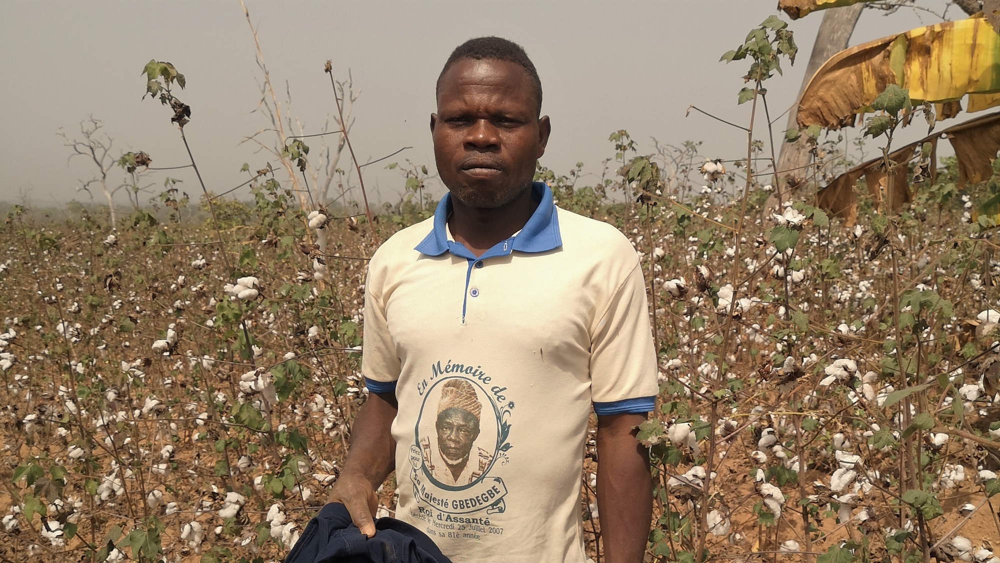 Tokponwe Nicaise, President of Glazoue Organic Cotton Growers Association, next to his cotton field. Credit PAN UK.