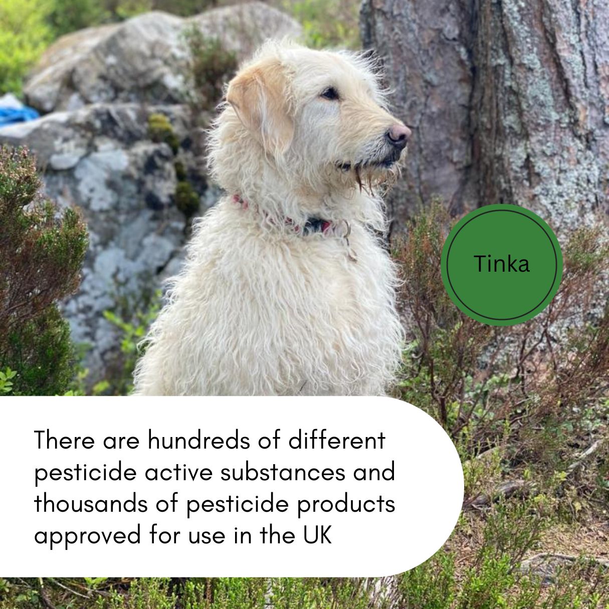 There are thousands of pesticide products approved for use in the UK