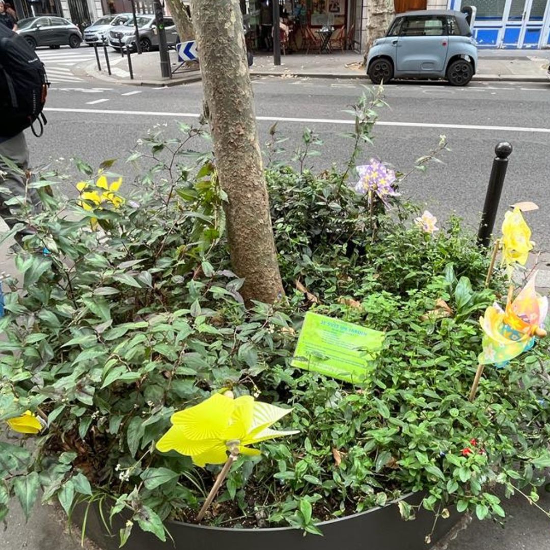 Parisian residents are encouraged to adopt their local tree pits.