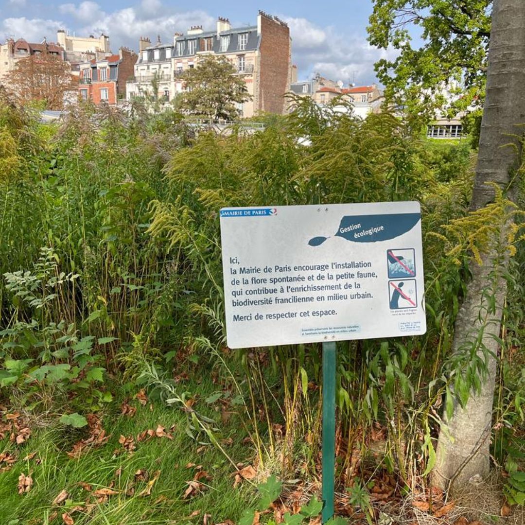 Signs help to educate the public on why areas have been left to grow for biodiversity.