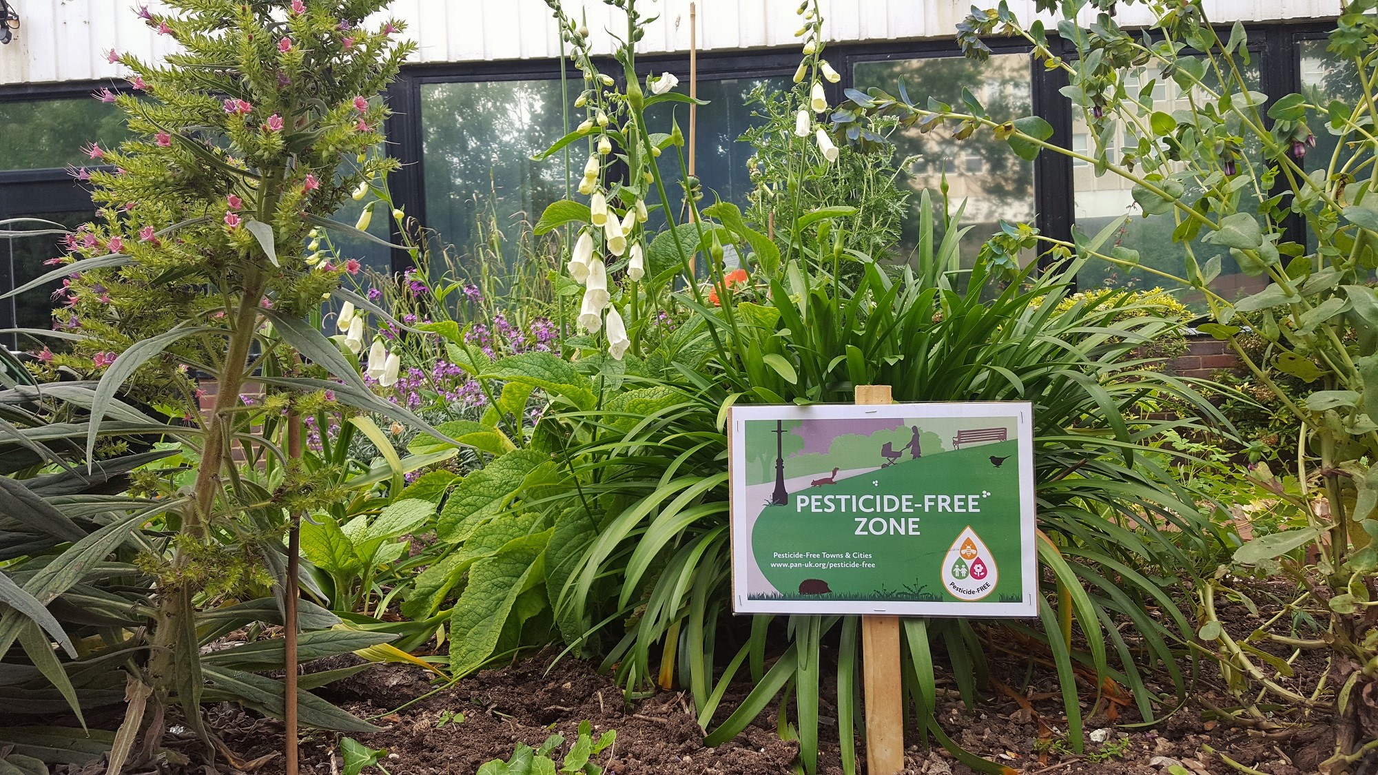 Pesticide-Free Zone Sign
