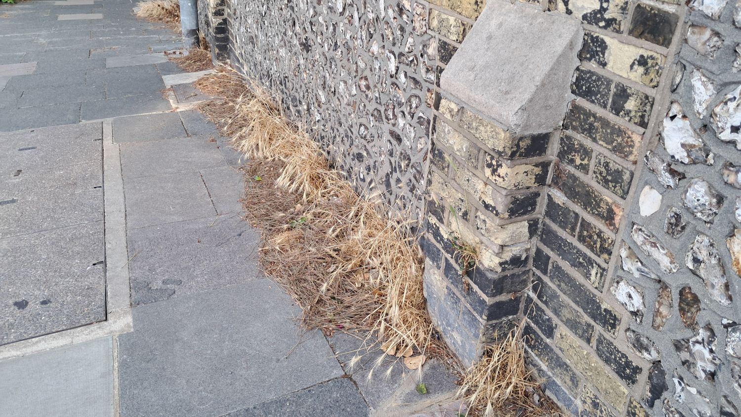 Pesticides applied along wall in Brighton
