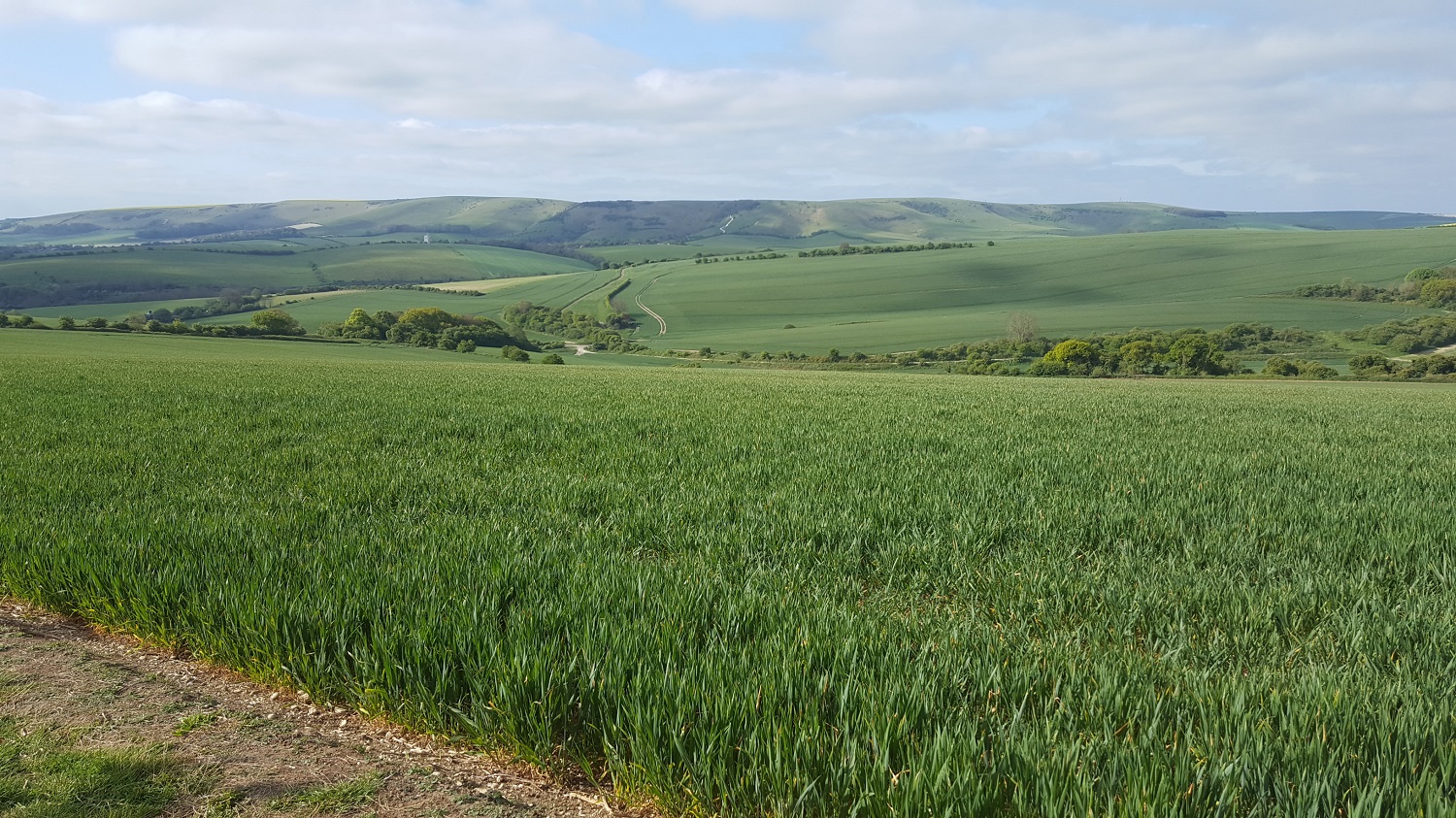 Pesticides underpin industrial agriculture