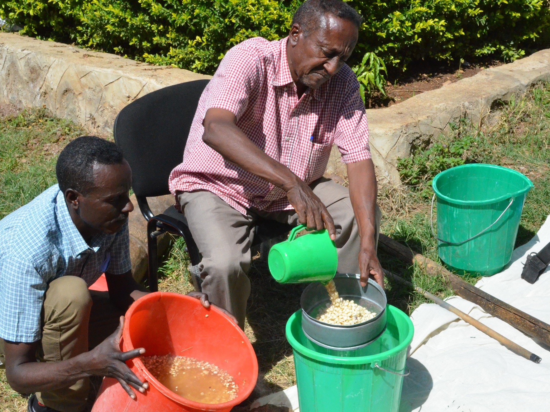 PAN Ethiopia staff, Shambel Boku and Bazezew Gebremariam, preparing food spray for a demonstration. Credit PAN UK.