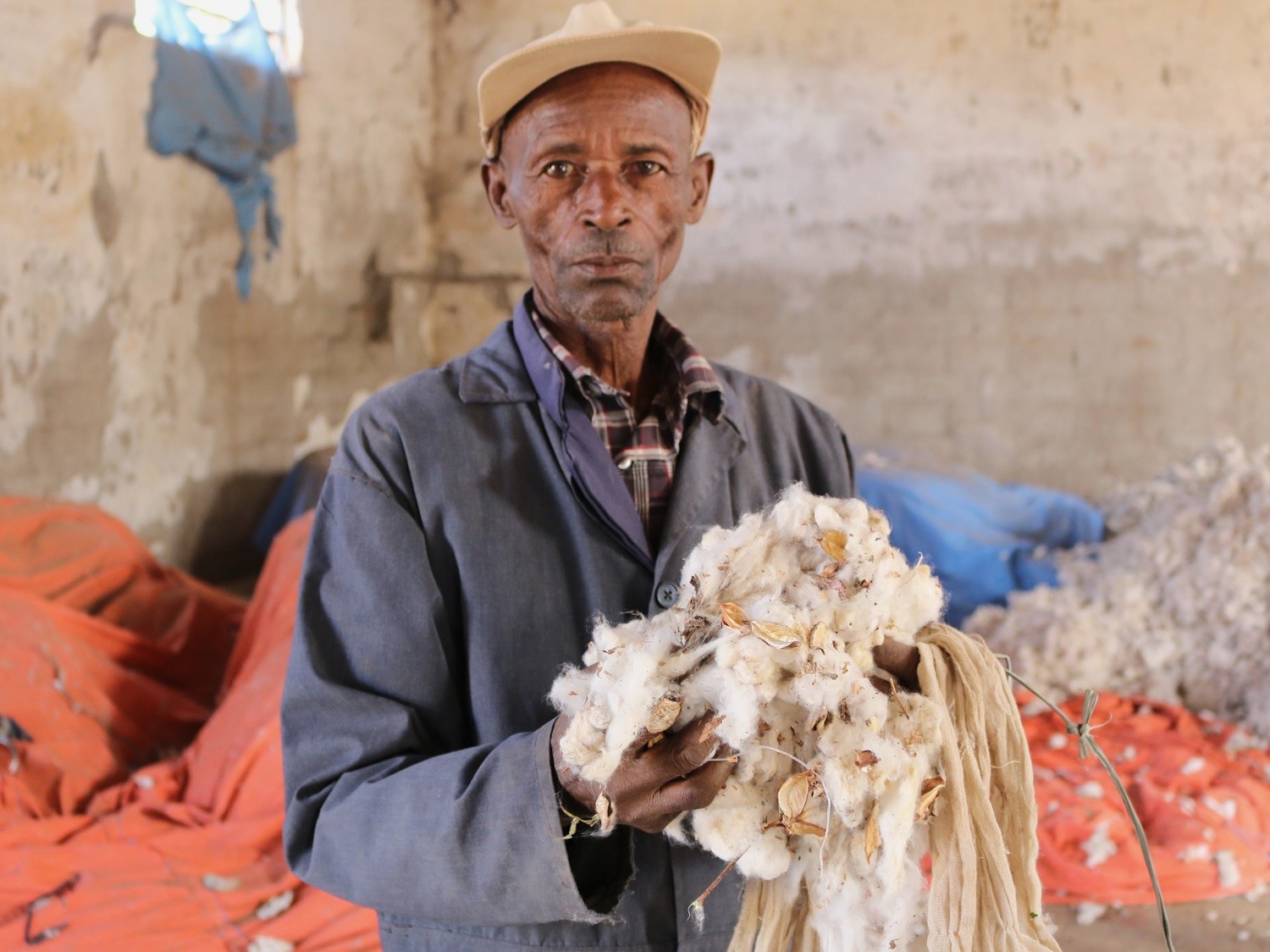 Preparing cotton in a ginnery. Credit PAN UK.