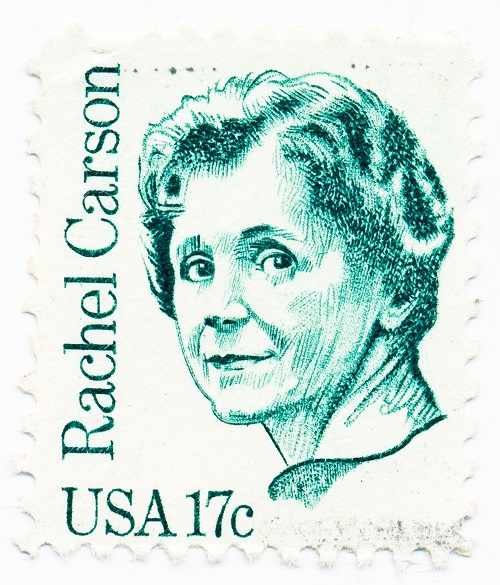 A stamp printed in USA circa 1981 showing biologist and author, Rachel Carson (1907-1964). Credit Solodov Aleksei on Shutterstock
