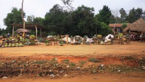 Roadside vendors on the road from Cotonou to Dassa. Credit PAN UK.