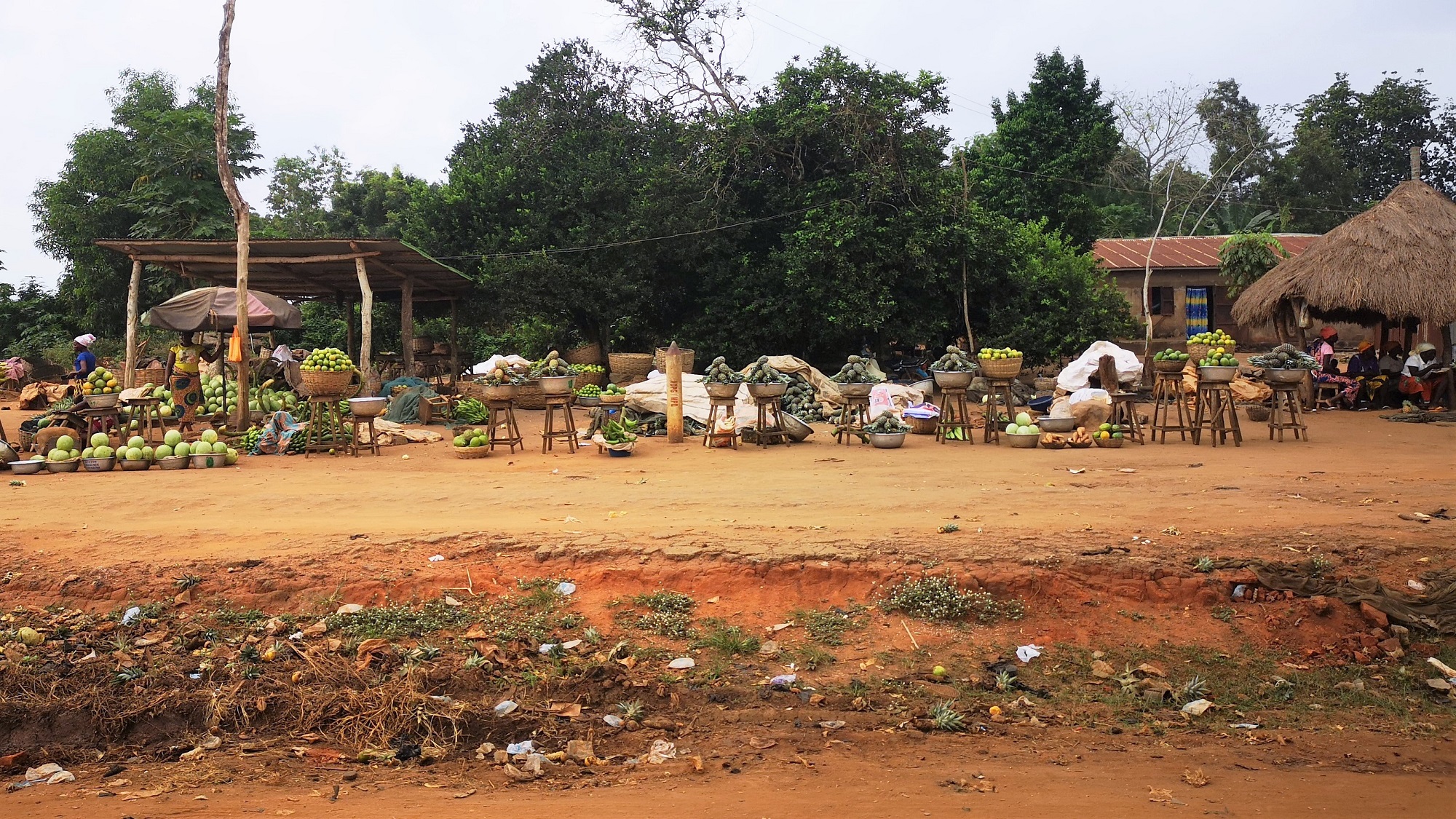 Roadside vendors on the road from Cotonou to Dassa. Credit PAN UK.