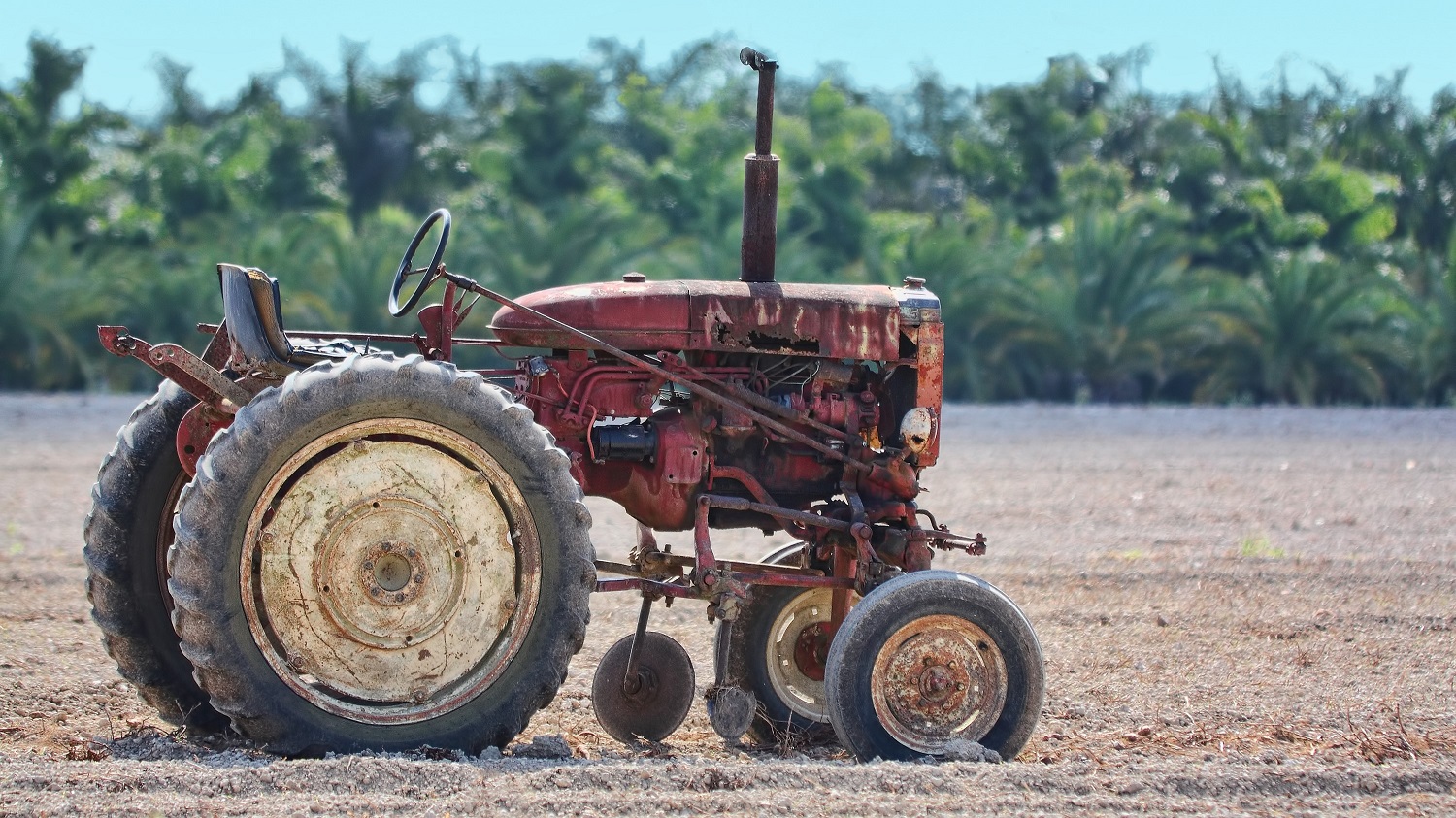 PAN UK Response to Red Tractor’s Standards Consultation