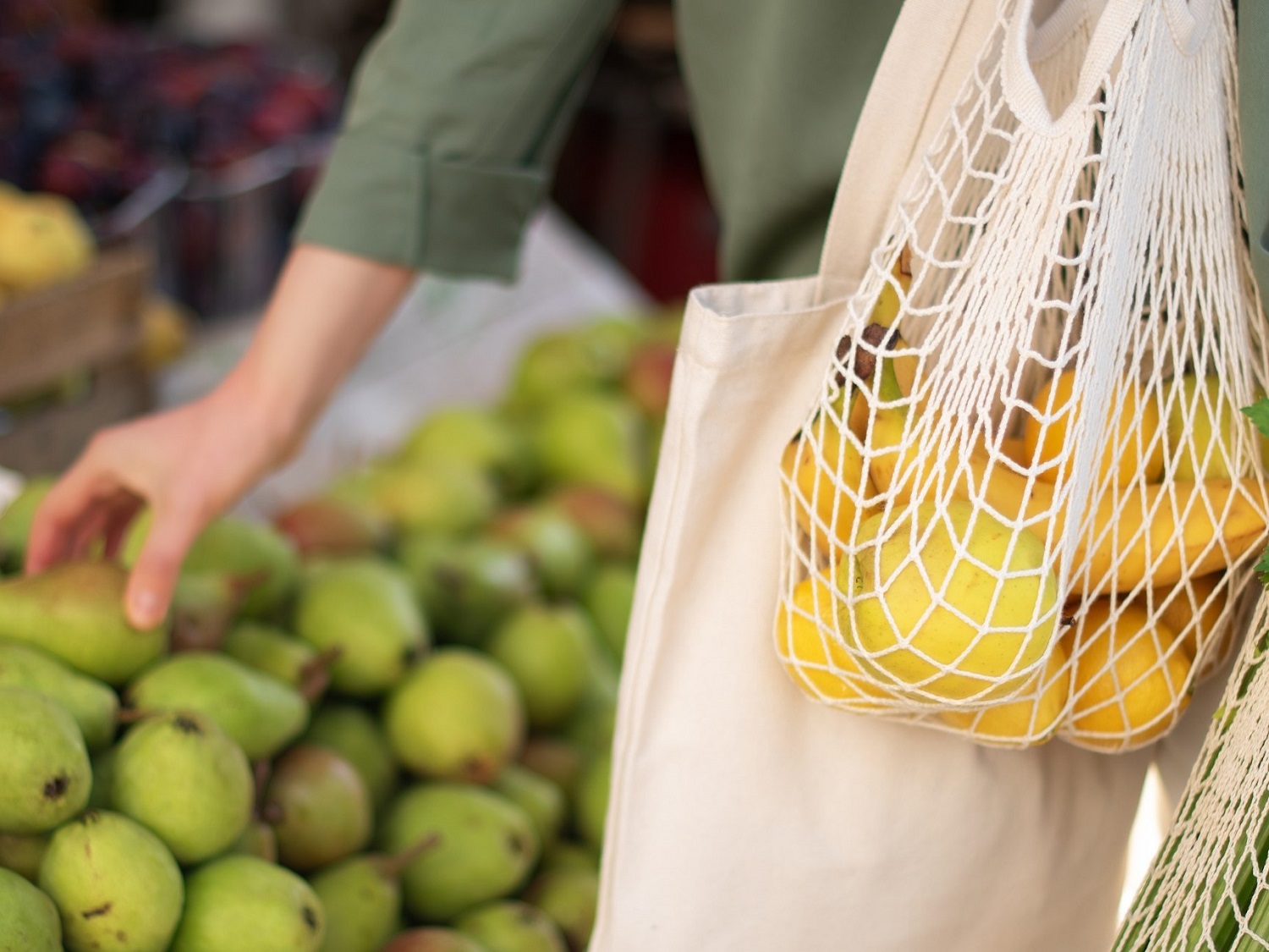 Shopping for fruit and veg - Toxic Trade