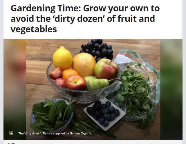 Solihull Observer: Grow your own to avoid the ‘dirty dozen’ of fruit and vegetables