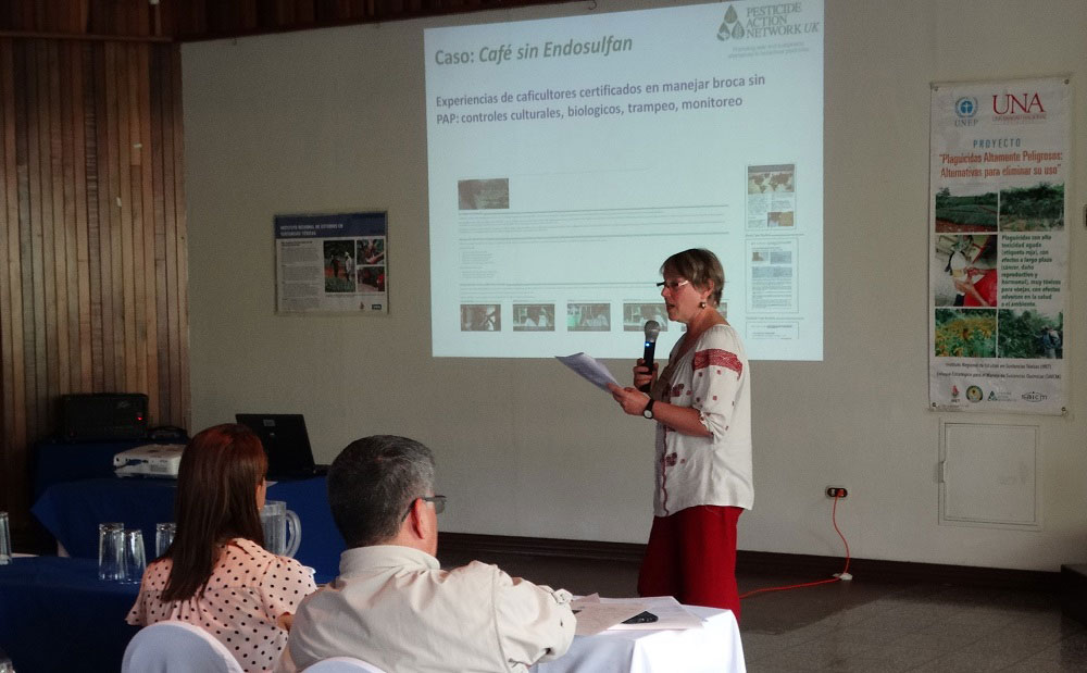 PAN UK presentation at the project workshop on Phasing out HHPs in Pineapple. Credit: IRET, Costa Rica