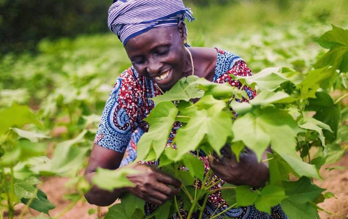 Alougba, president of a cooperative of organic producers in Lagbo village, Benin. Credit: Gbèmèho Elisé Fanou