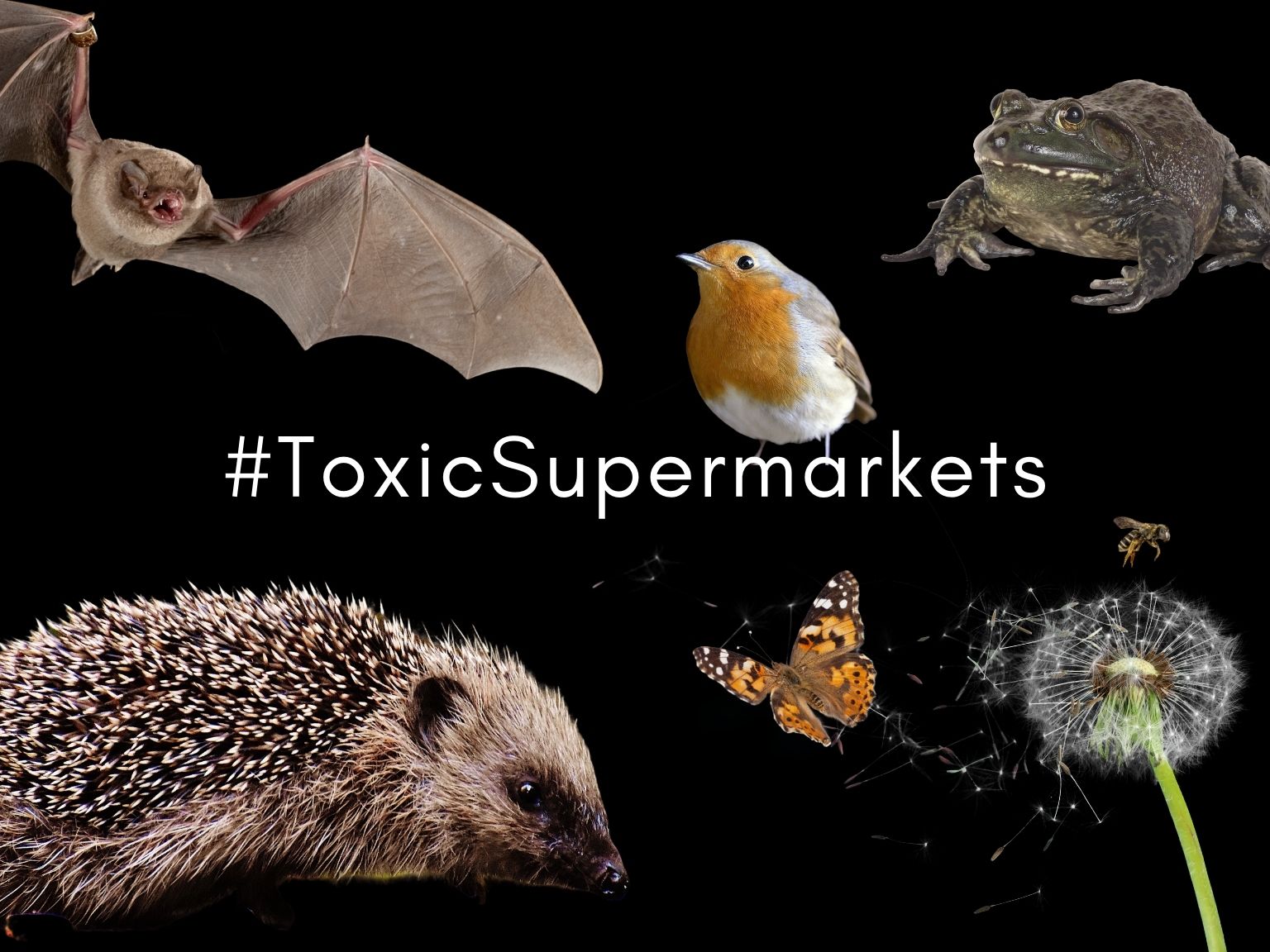 Take pesticide products off supermarket shelves