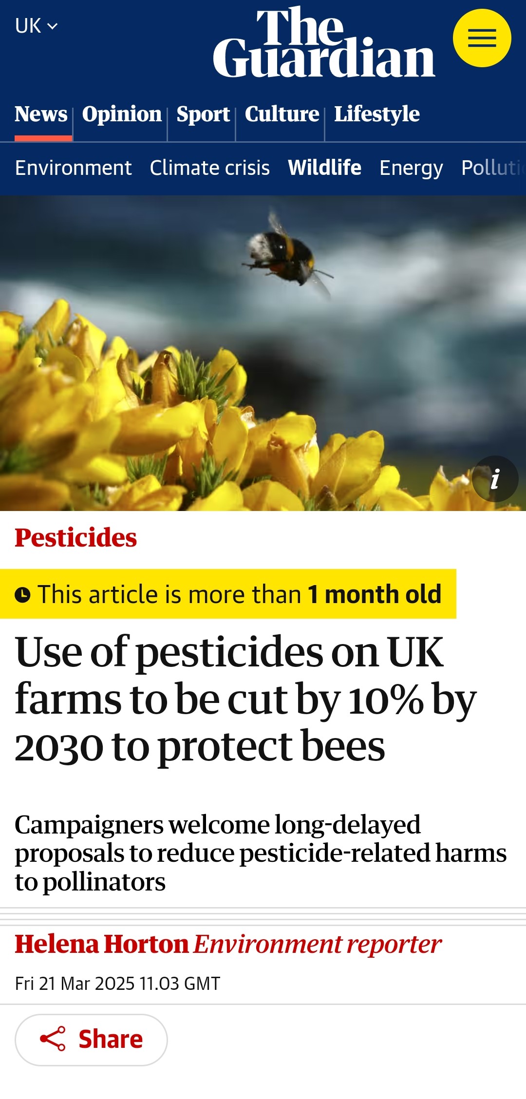 Use of pesticides on UK farms to be cut by 10% by 2030 to protect bees