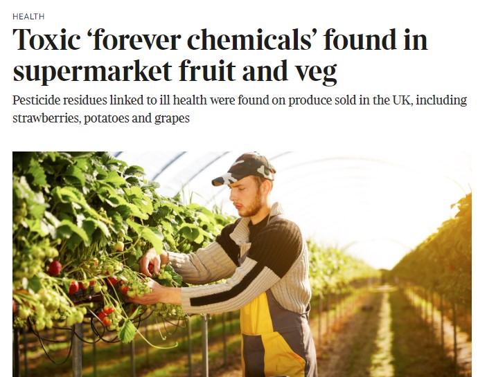 The Times: Toxic ‘forever chemicals’ found in supermarket fruit and veg