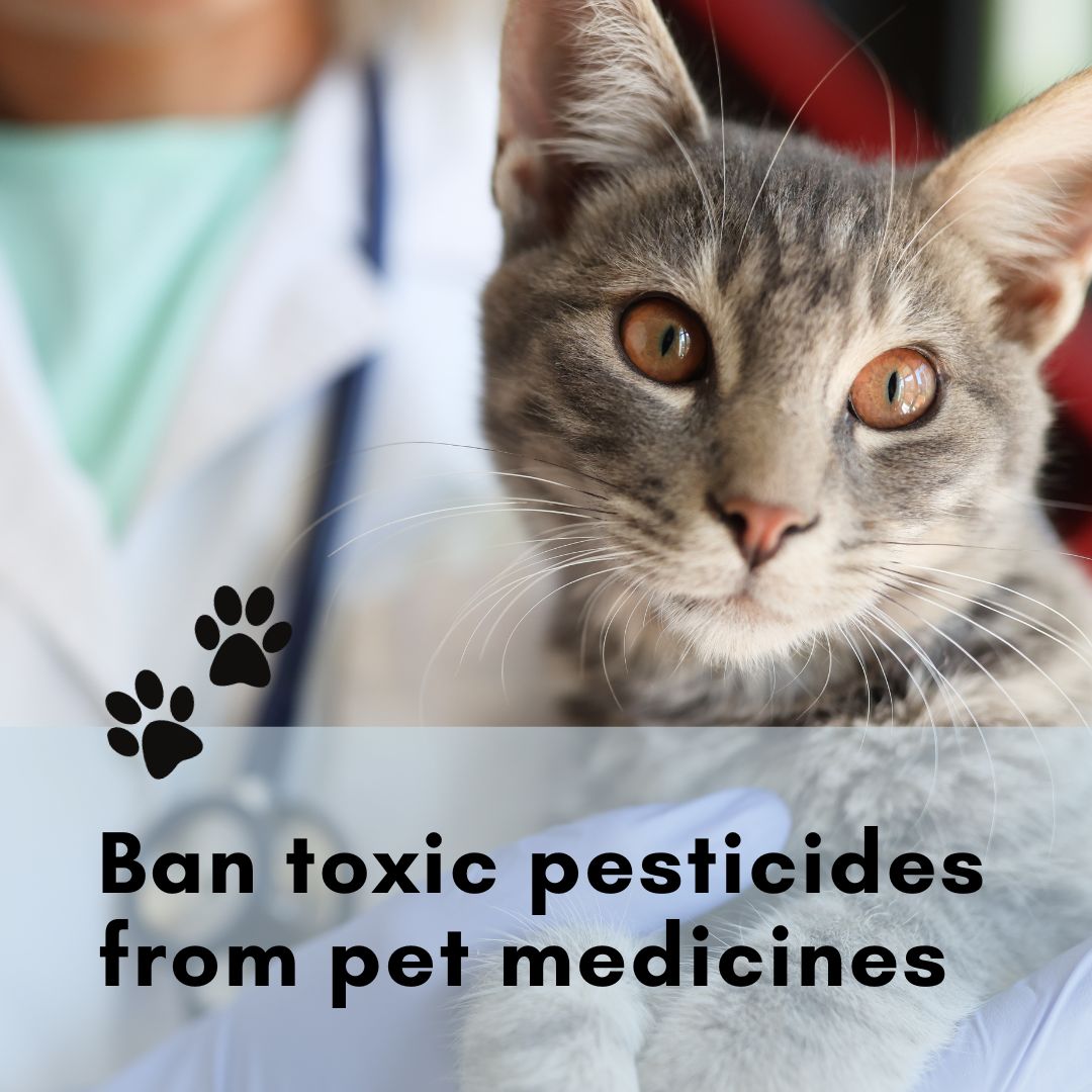 Ban toxic pesticides from pet medicines