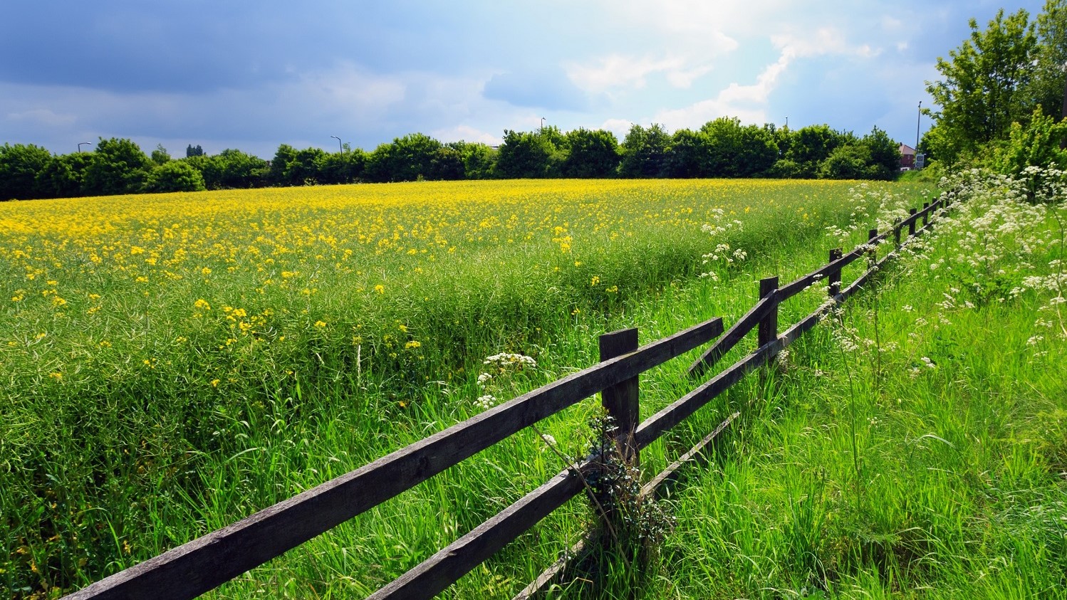 Unprecedented support for the UK to drastically reduce pesticide use