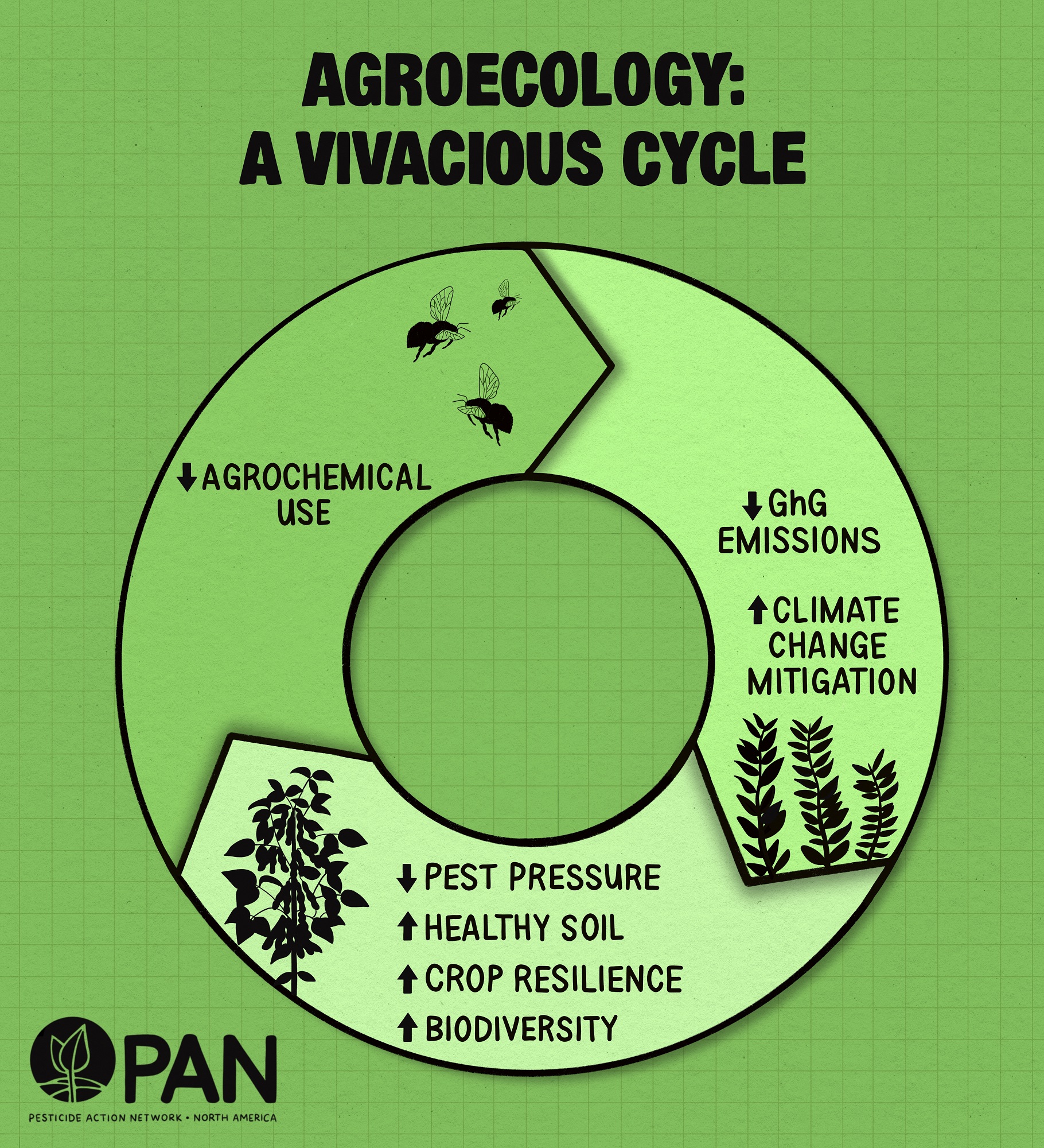 Pesticides and climate change – A vivacious cycle Pesticides and climate change - A vivacious cycle