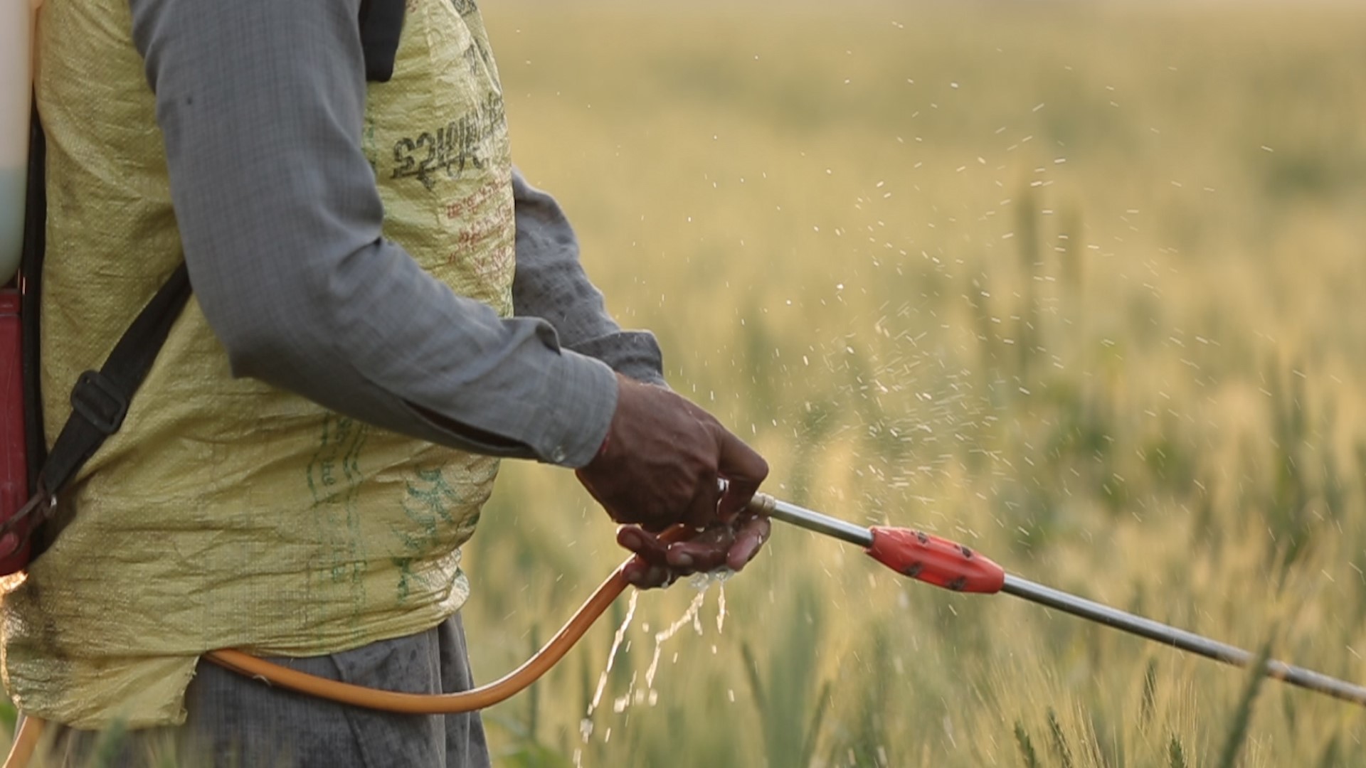 What is more commonly worn in India: an old fertiliser sack with no gloves and a leaking knapsack sprayer (ECCHR, 2015)